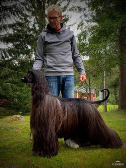 ice+sven